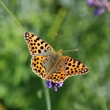 Mobile Im Mit Seezugang Διαμέρισμα Dabel